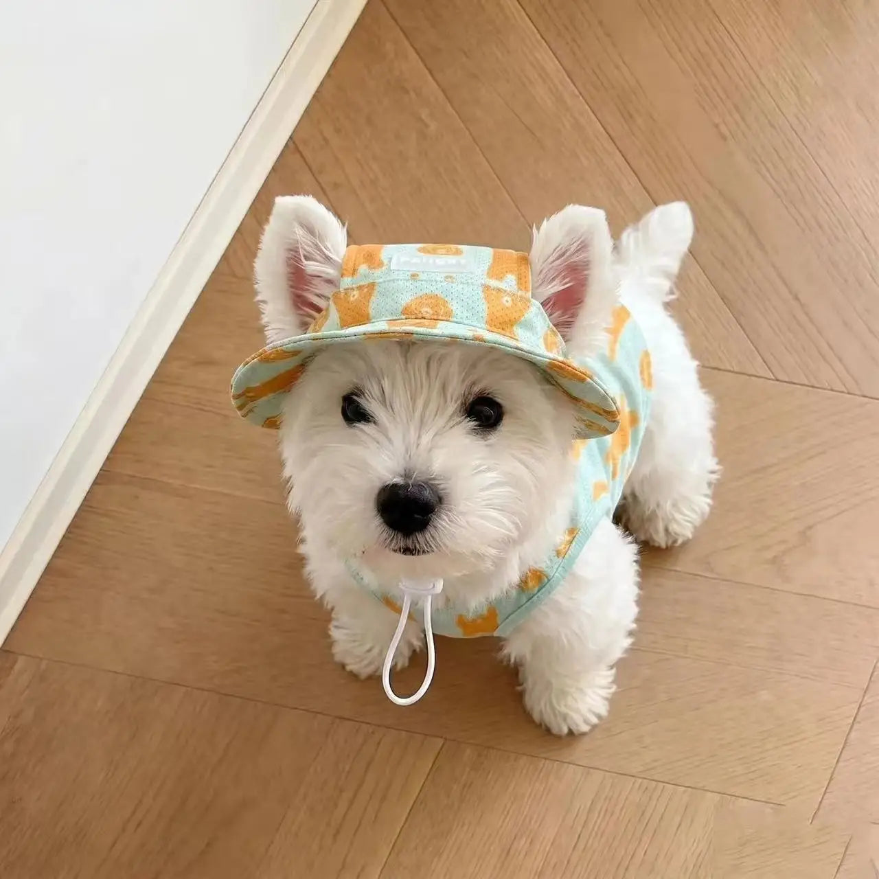 2Pcs Summer Dog Cooling Clothes Set