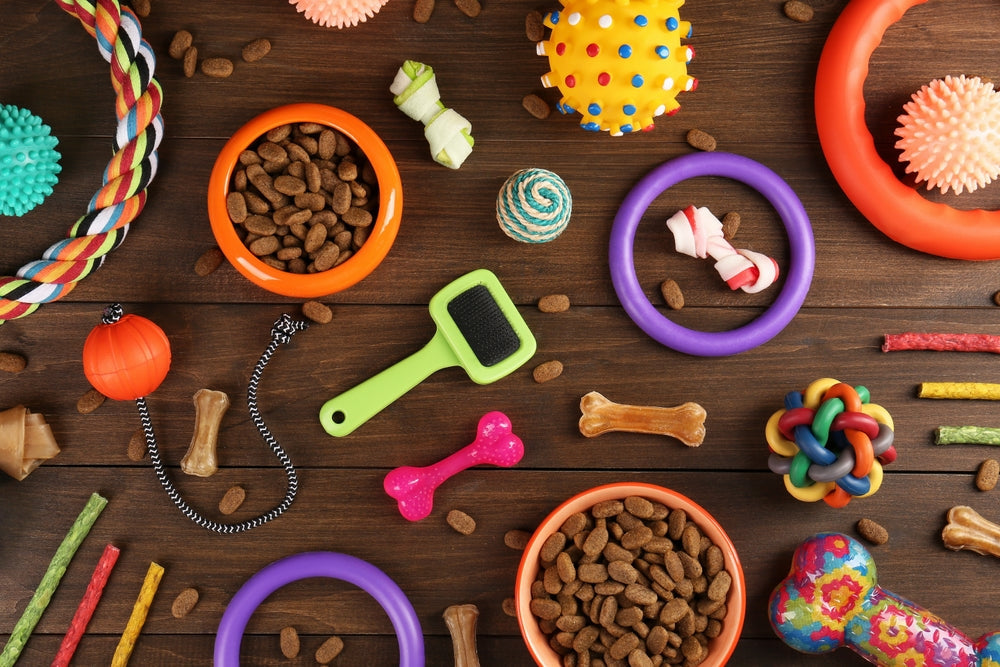 Pet Accessories