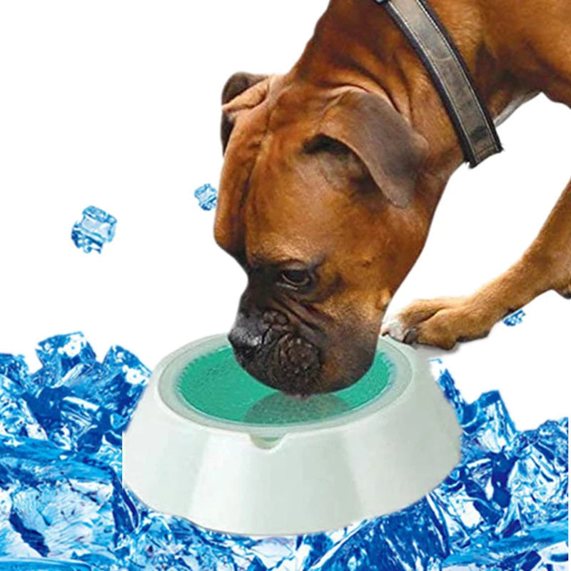 Cool Summer Pet Supplies Bead Ice Bowl