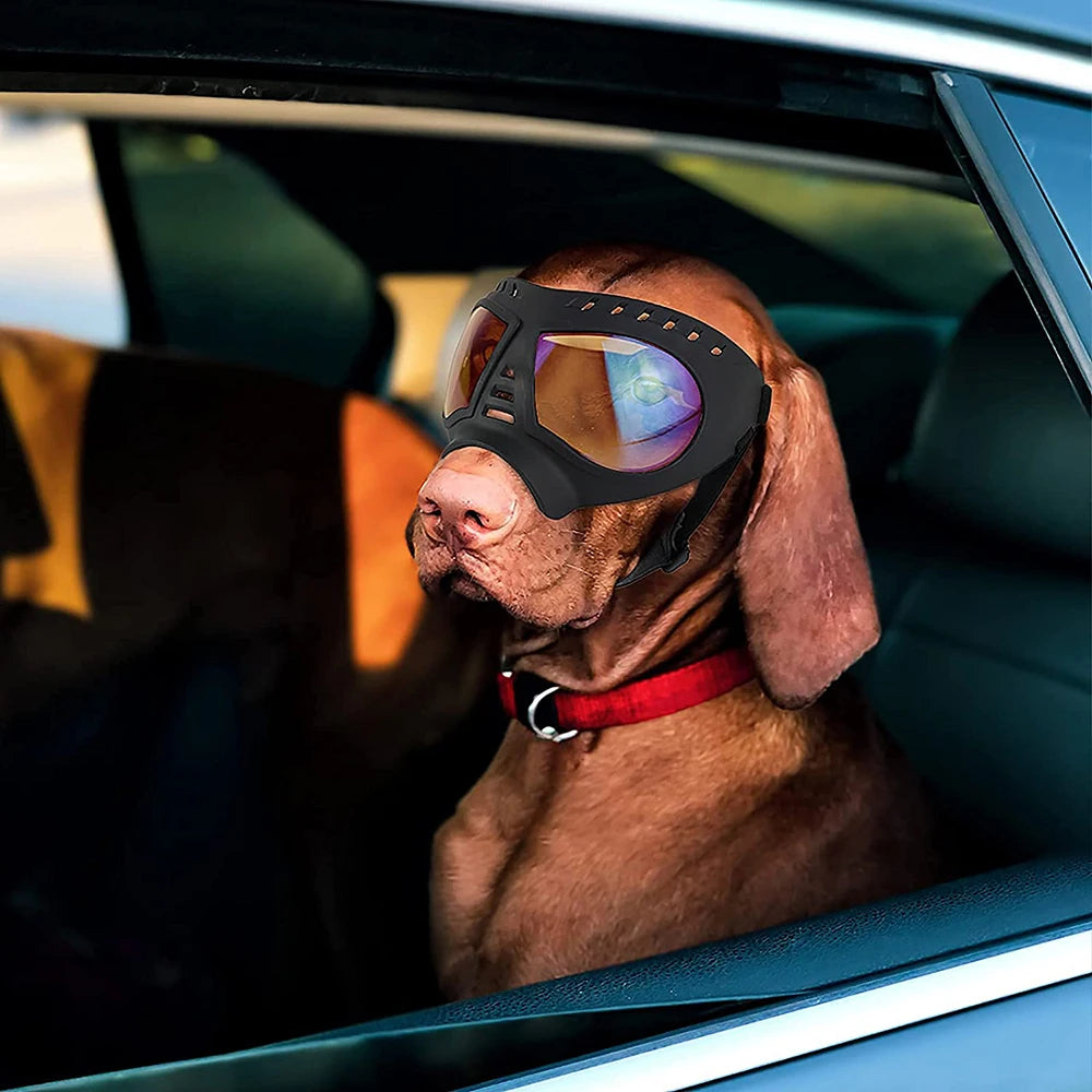 Cool Dog Sun Glasses UV Protection