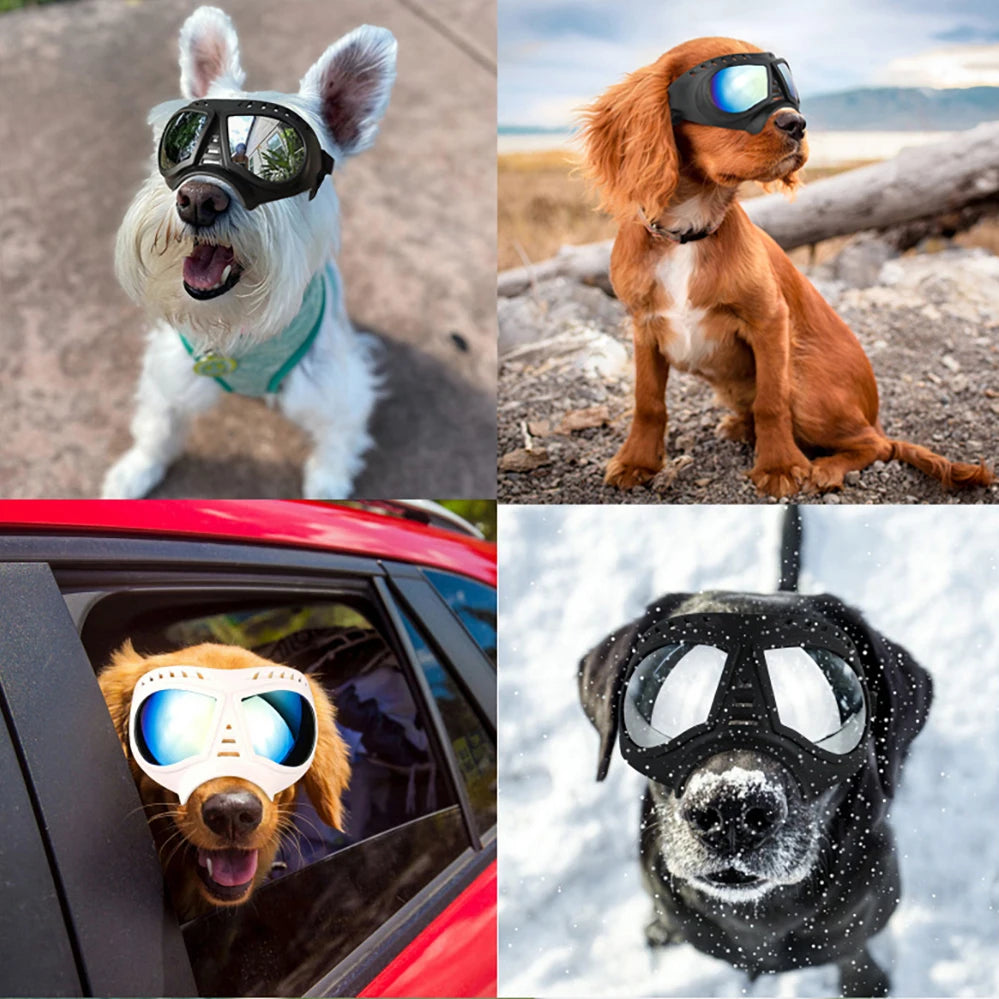 Cool Dog Sun Glasses UV Protection