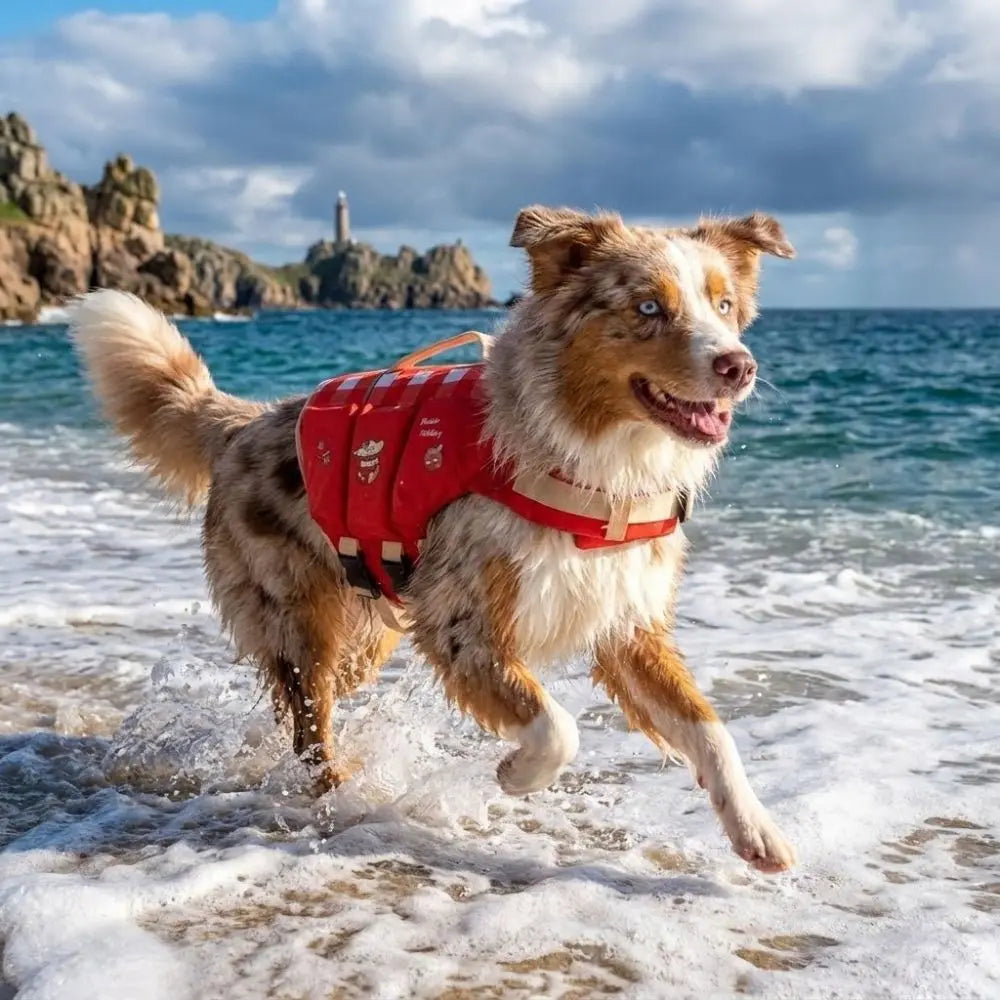 Waterproof Dog Life Jacket