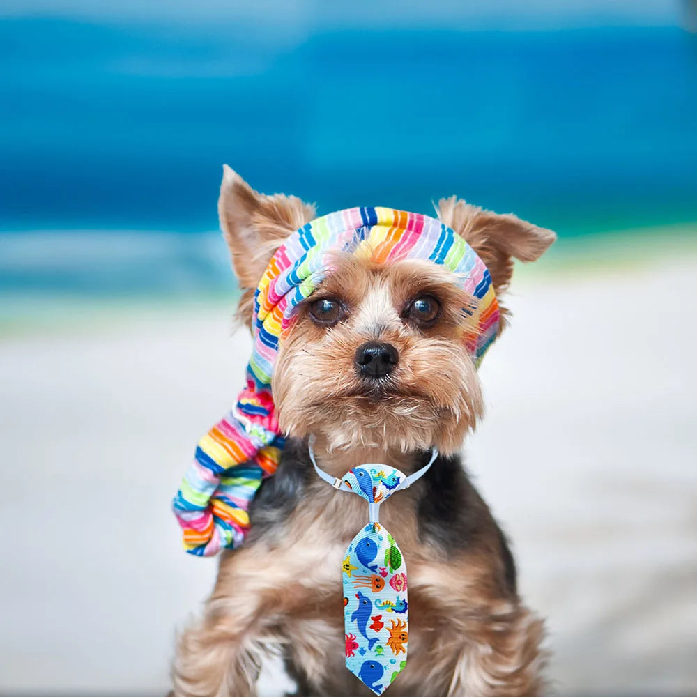 Beach Party Pet Necktie