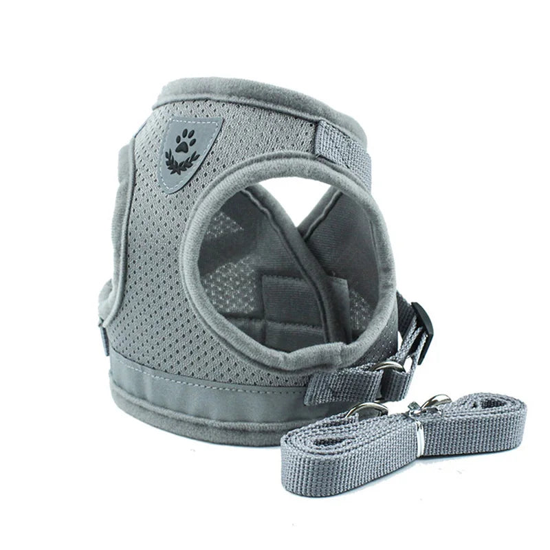 Summer Pet Dog Vest Harness and Leash Sets