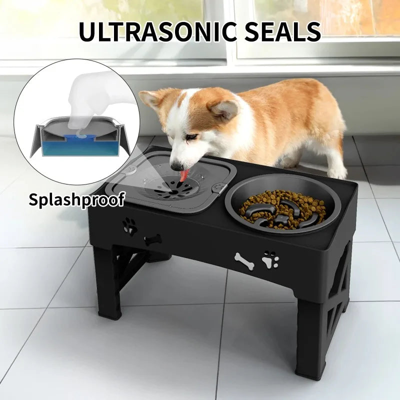 3 in 1 Pet Feeder Two Bowls One Lift Anti-upset