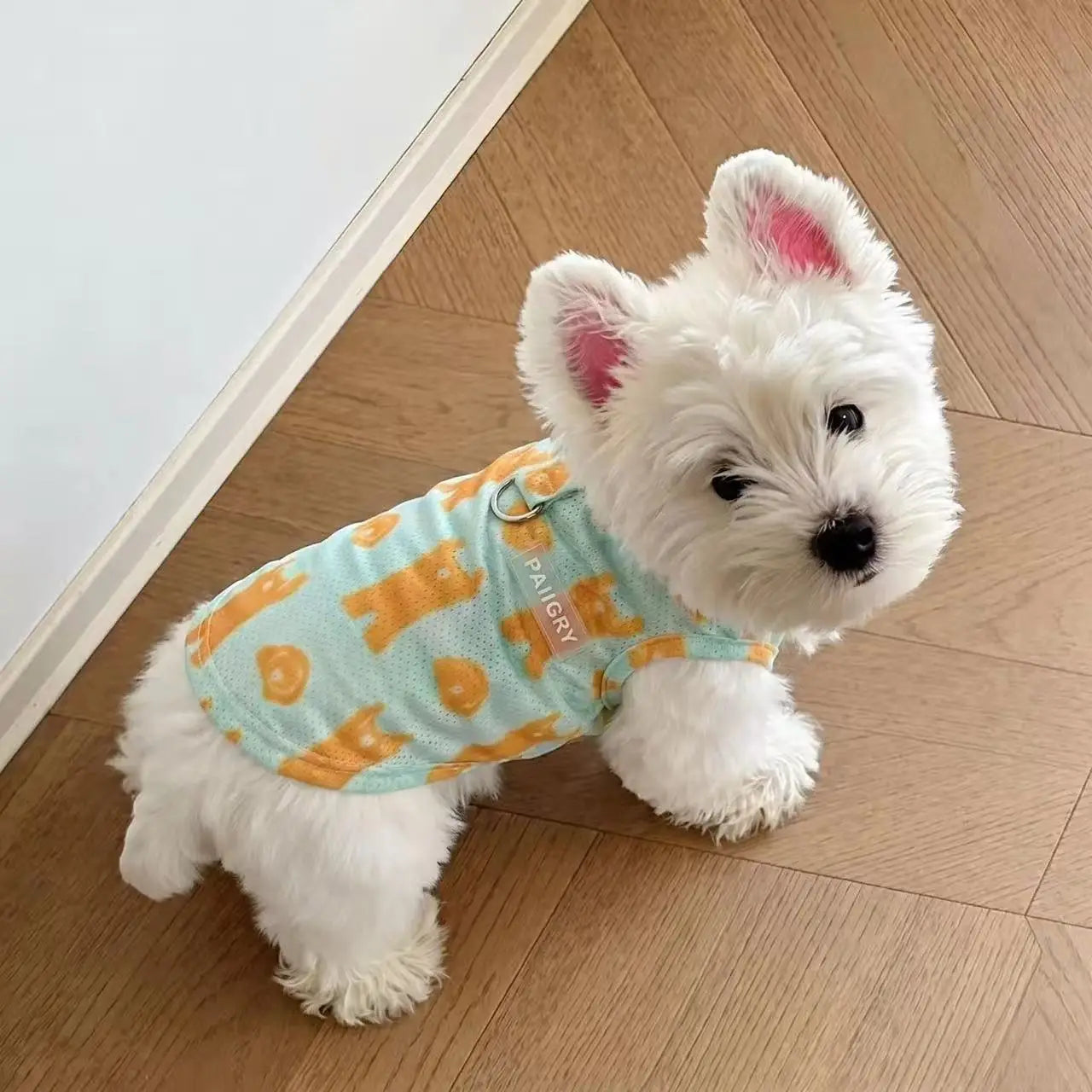 2Pcs Summer Dog Cooling Clothes Set