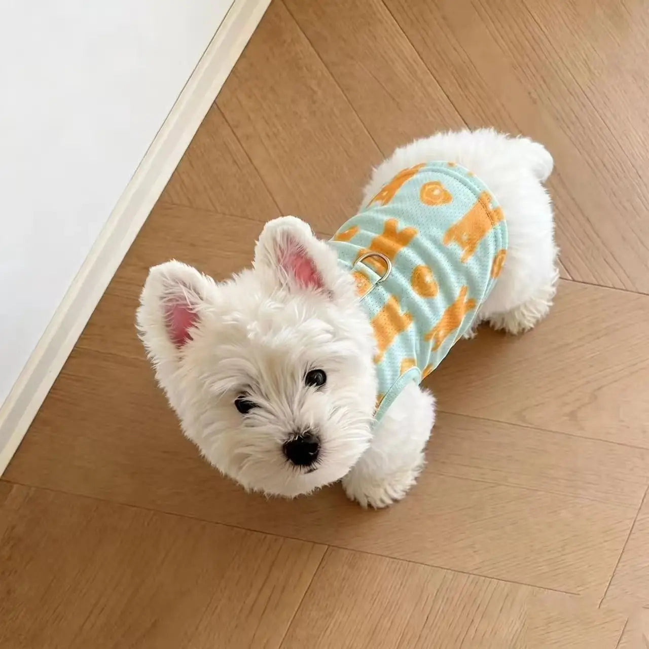 2Pcs Summer Dog Cooling Clothes Set