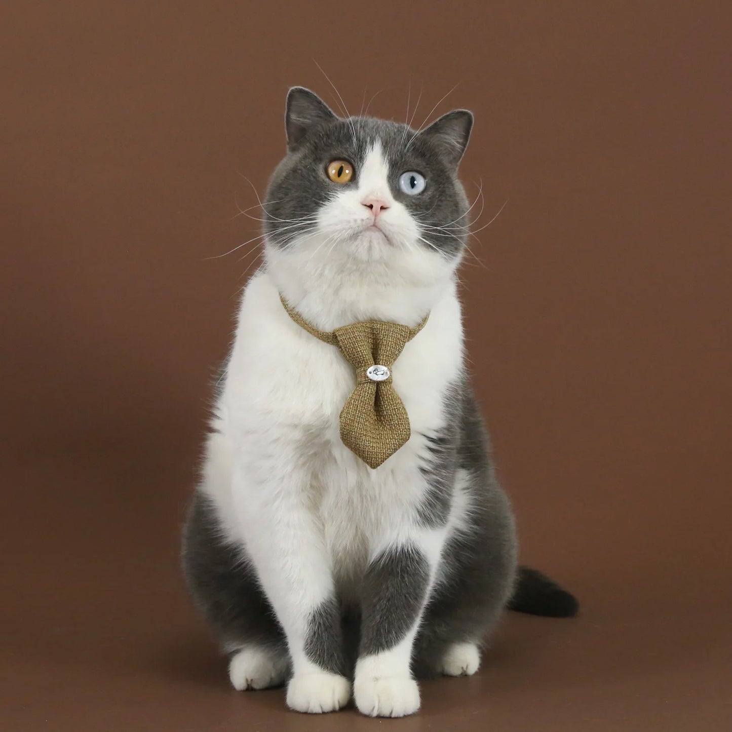 Pet Linen Collar Breathable Bowtie