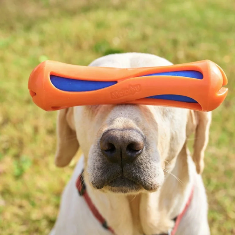 Dog Water-Lok Stick Interactive Swimming Toy
