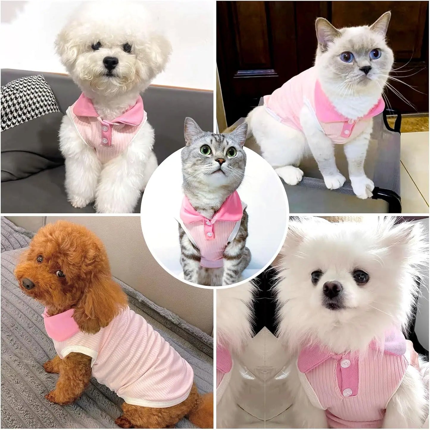 Small Dog T-shirt Bordeaux Collar