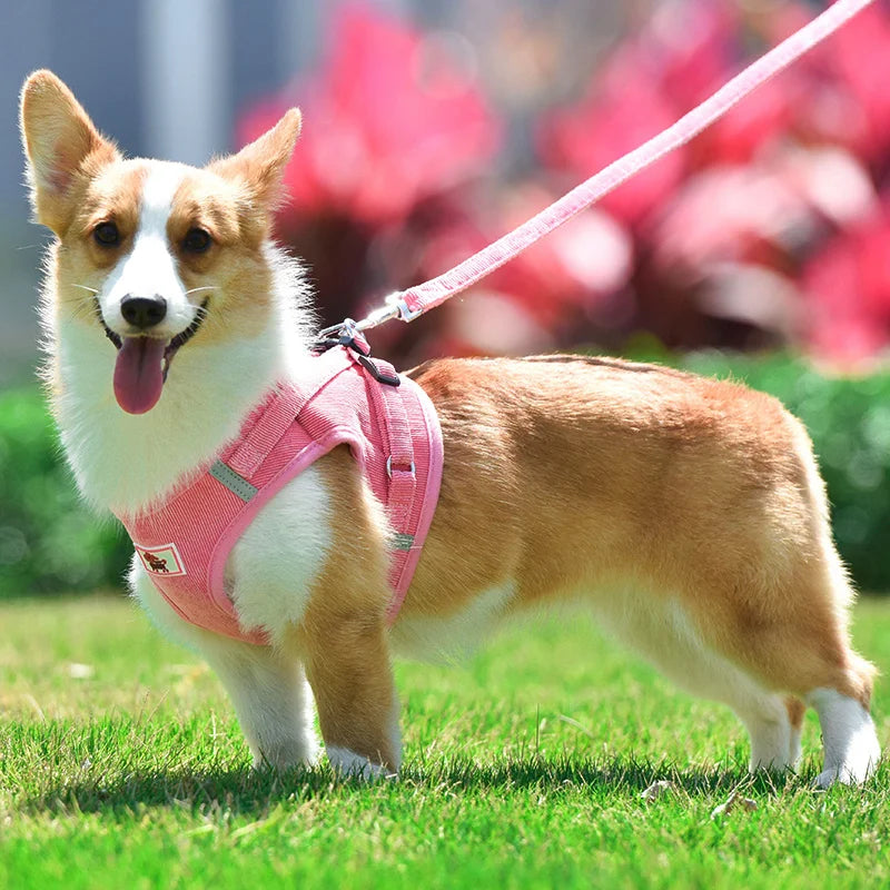 Summer Pet Dog Vest Harness and Leash Sets