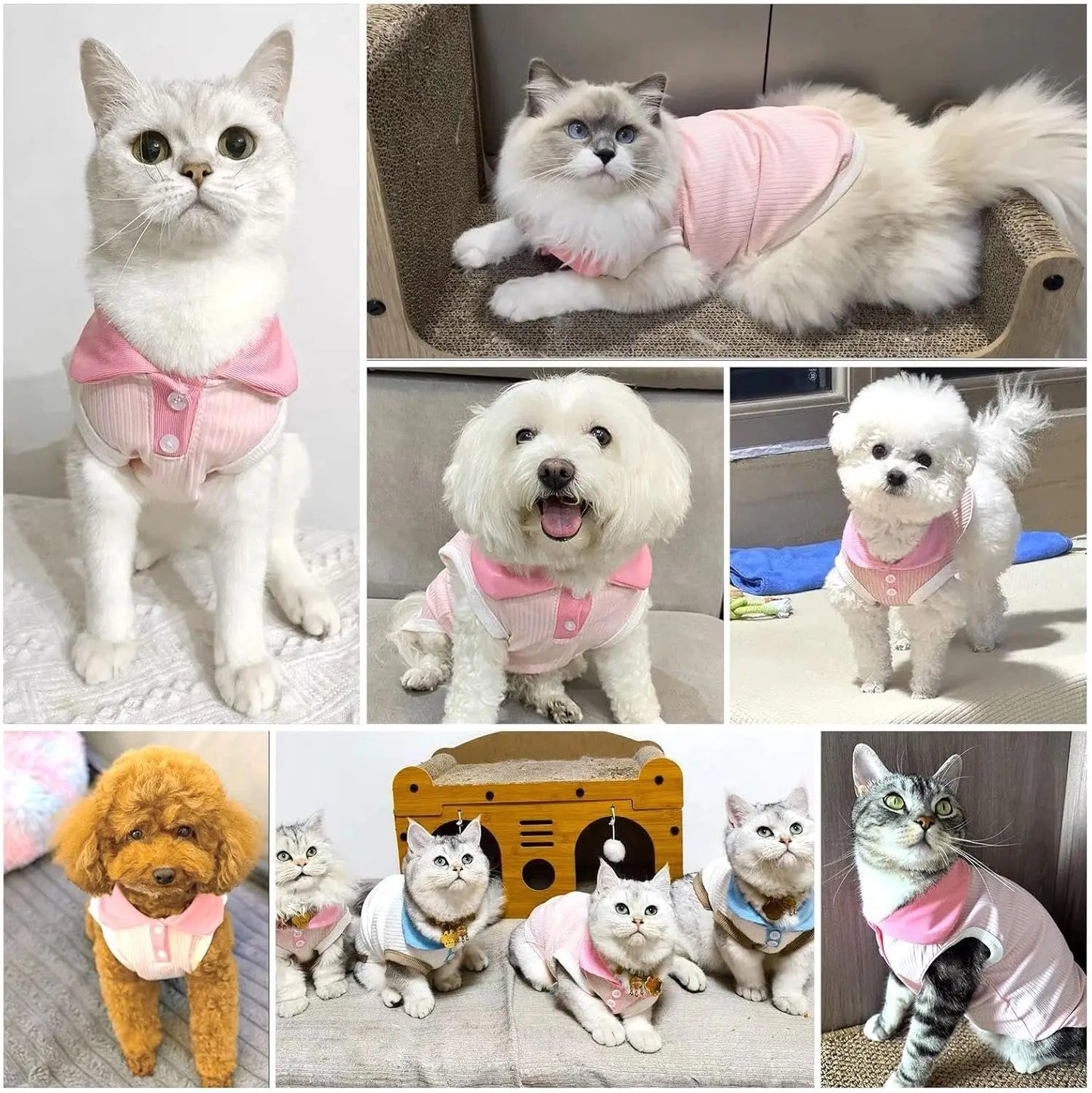 Small Dog T-shirt Bordeaux Collar