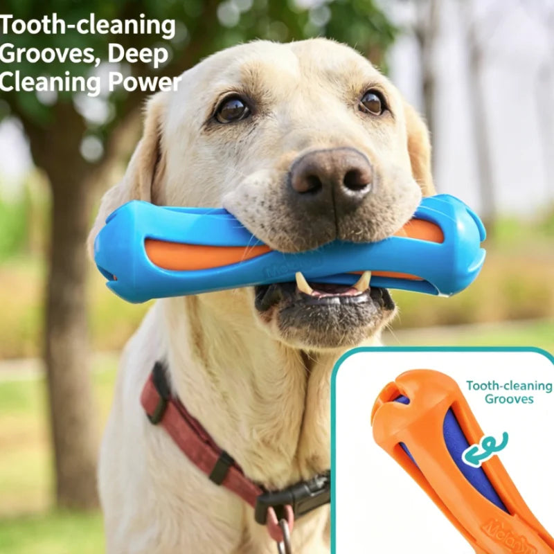 Dog Water-Lok Stick Interactive Swimming Toy