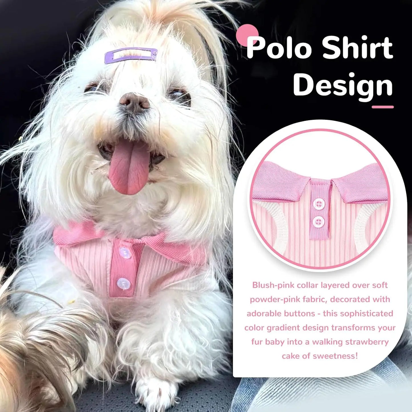 Small Dog T-shirt Bordeaux Collar