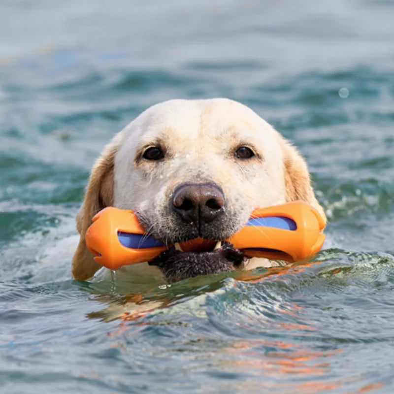 Dog Water-Lok Stick Interactive Swimming Toy