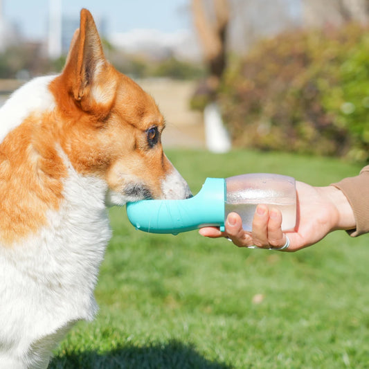 Pet Water Bottle 300ML Puppy Drinking Bowls