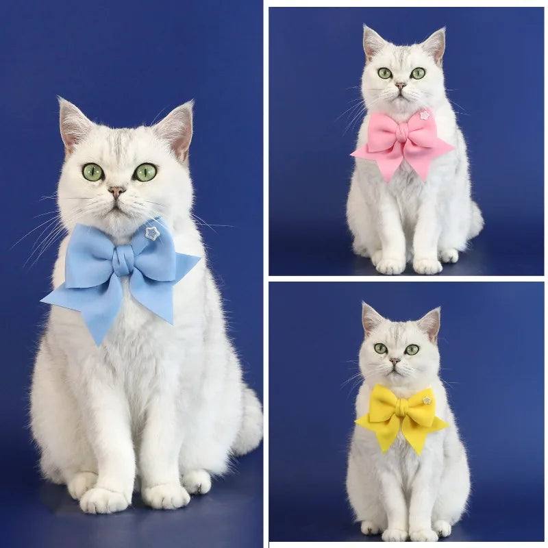 Pet Party Decoration Set Pet Birthday Hats