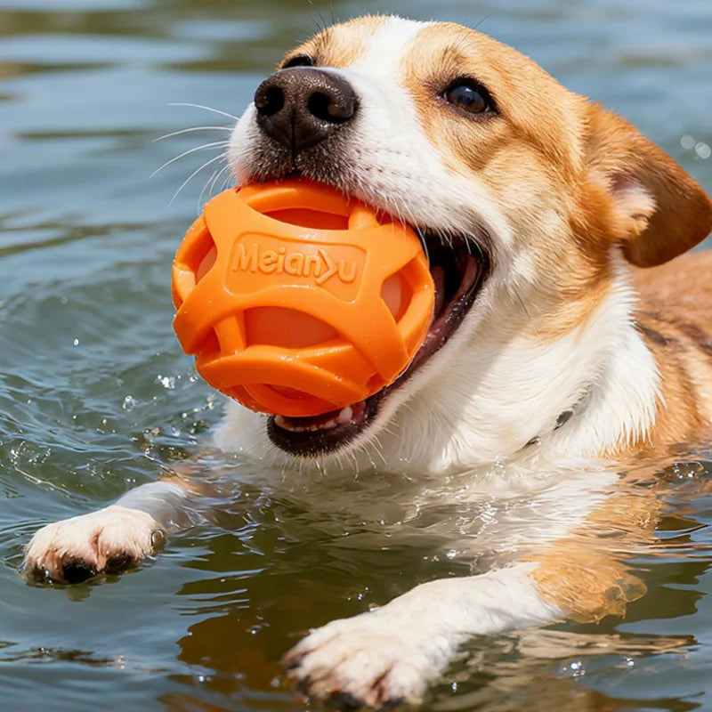 Dog Chew Ball Rubber Teeth Cleaning Molar Toy