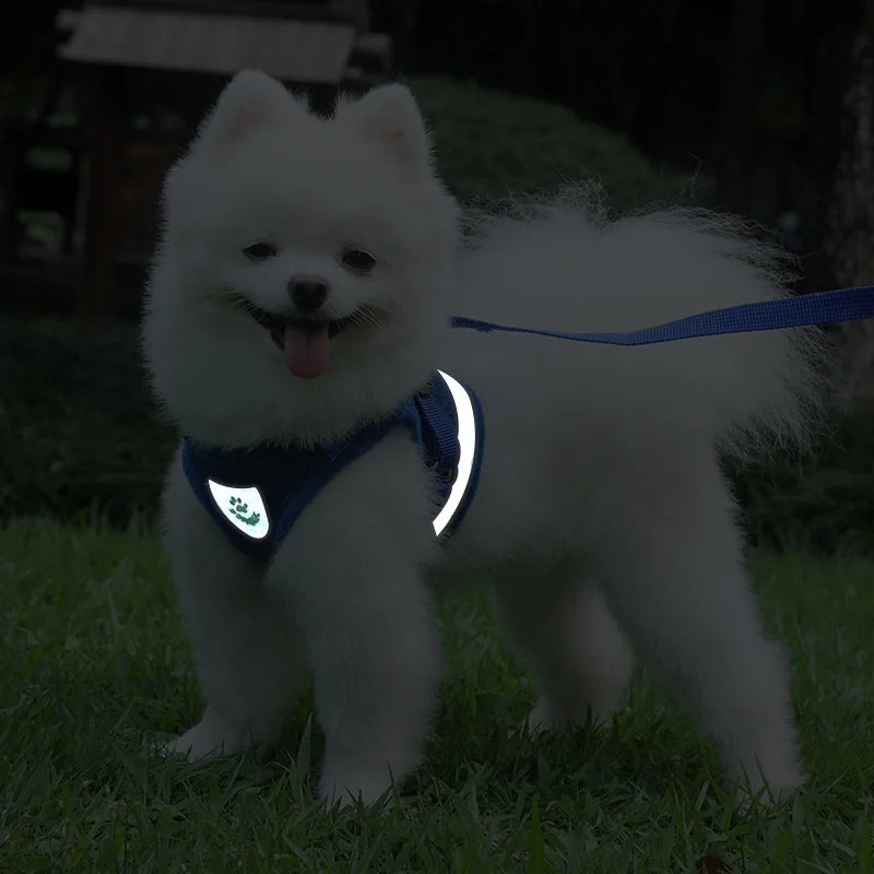 Summer Pet Dog Vest Harness and Leash Sets