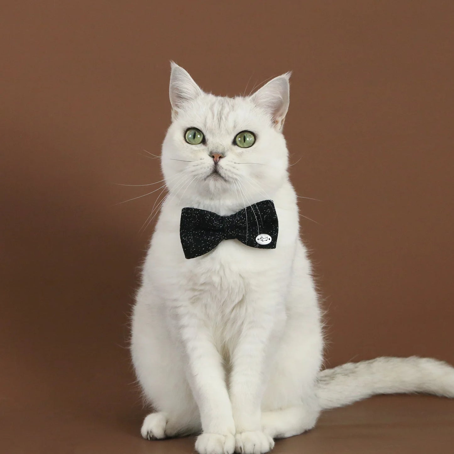 Pet Linen Collar Breathable Bowtie
