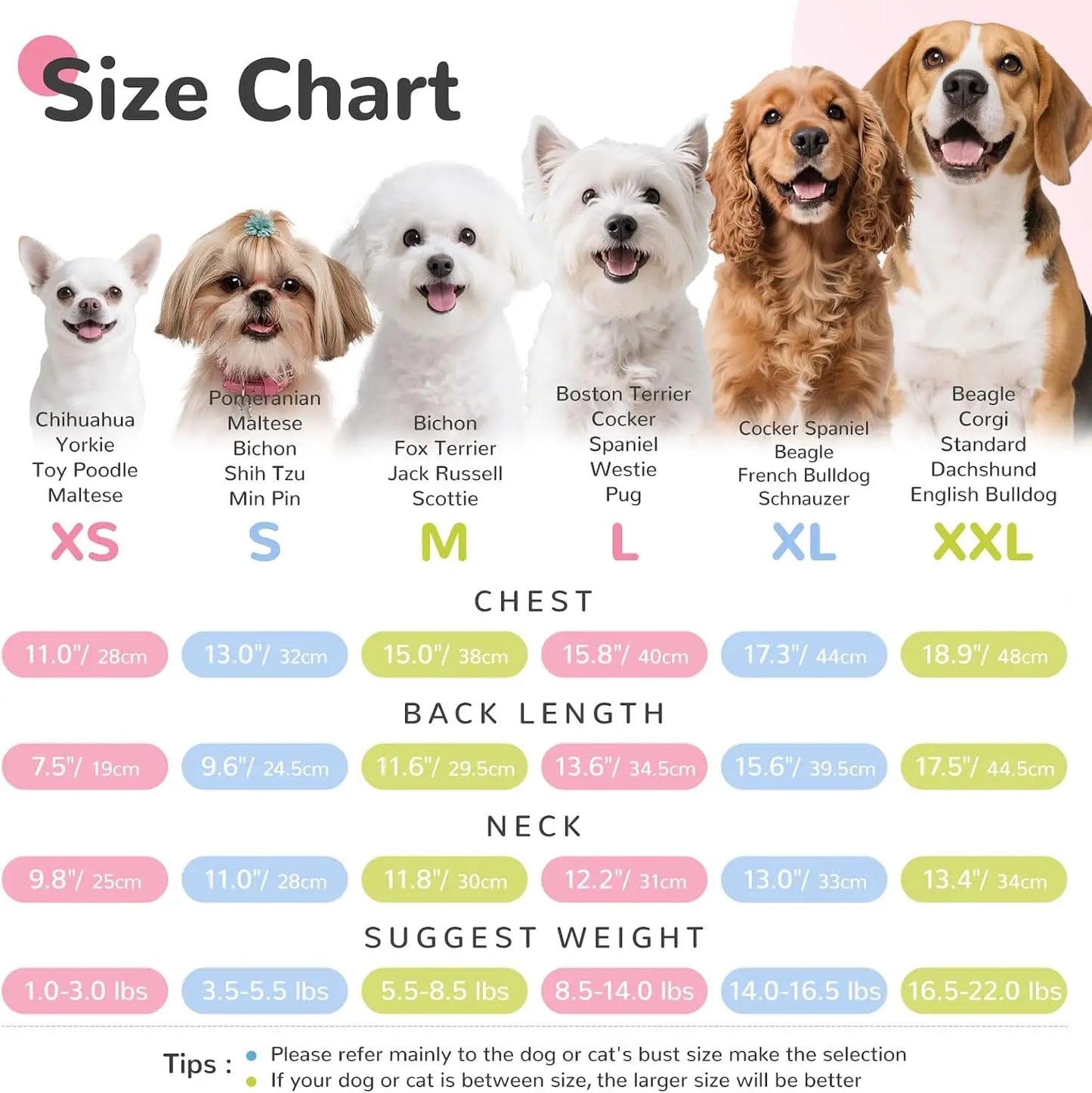 Small Dog T-shirt Bordeaux Collar