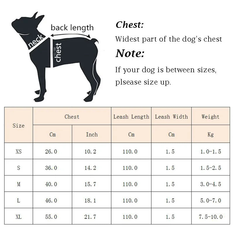 Summer Pet Dog Vest Harness and Leash Sets