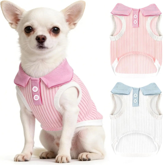 Small Dog T-shirt Bordeaux Collar