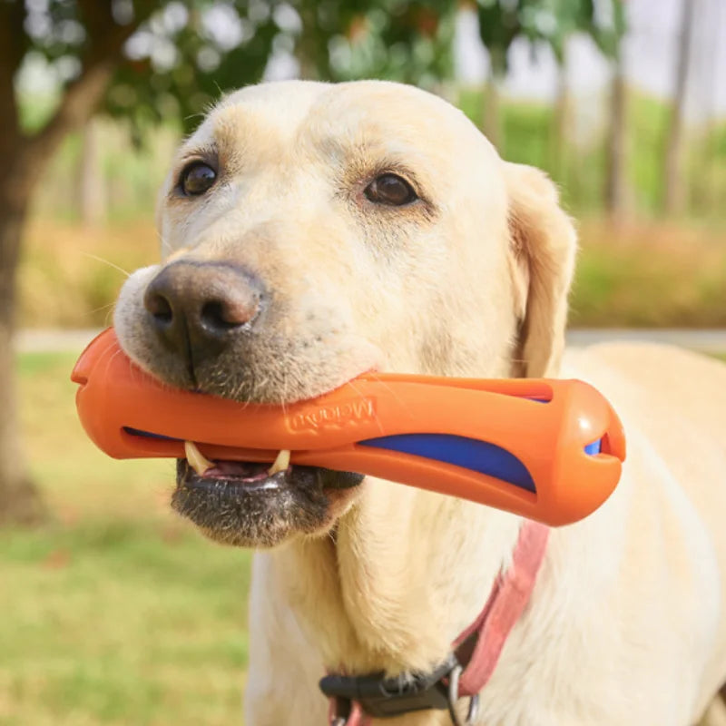 Dog Water-Lok Stick Interactive Swimming Toy