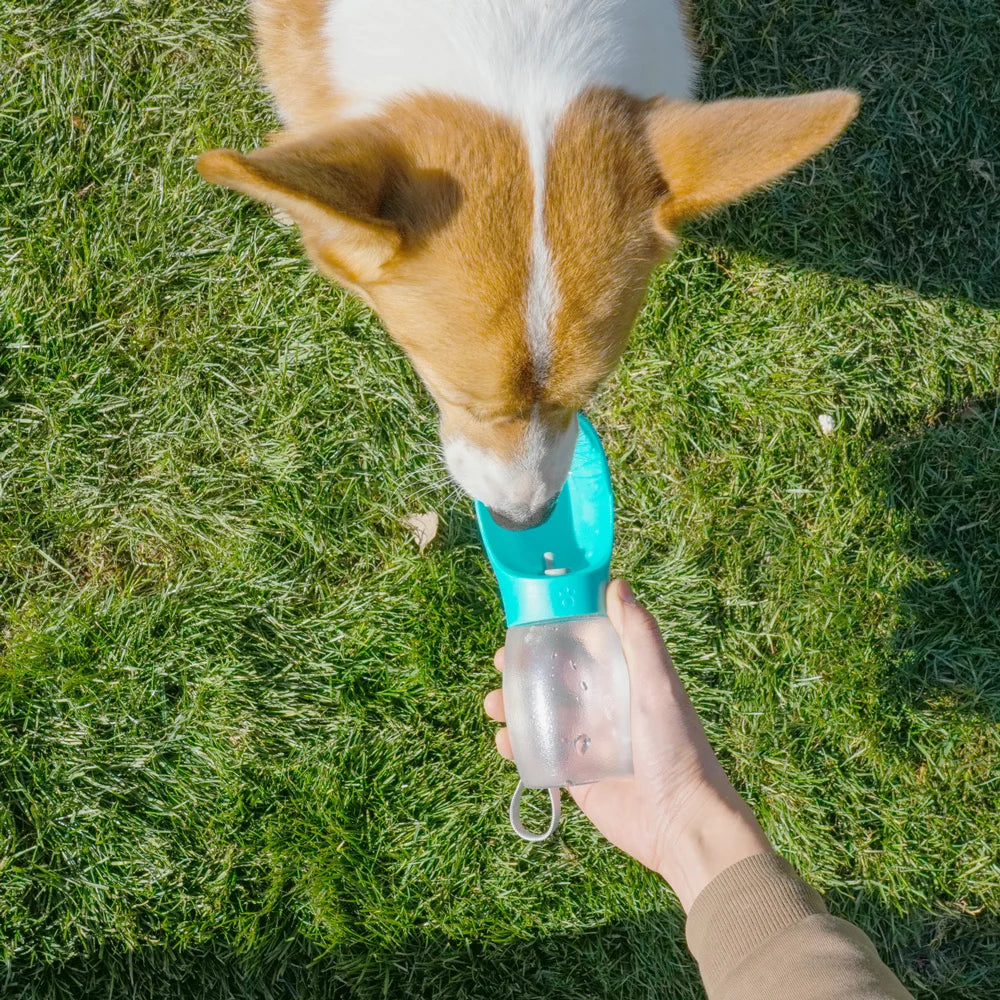 Pet Water Bottle 300ML Puppy Drinking Bowls